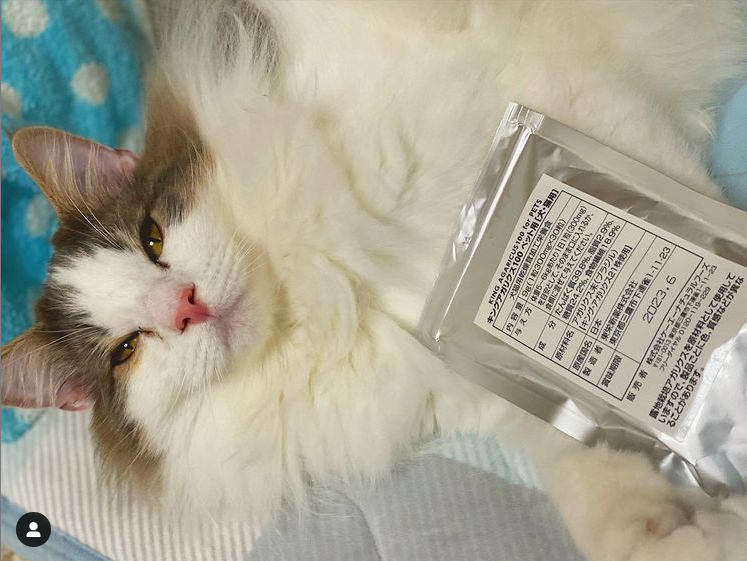 毛並み 涙やけが気になる猫にアガリクスを 口コミ 体験談