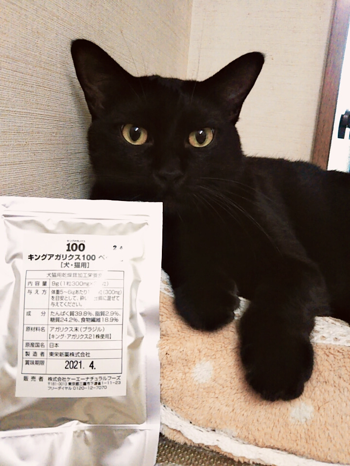 ねことキングアガリクス100
