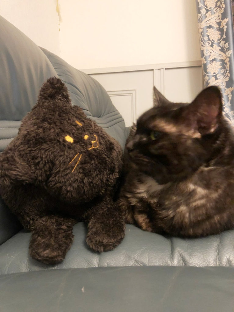 ねこ