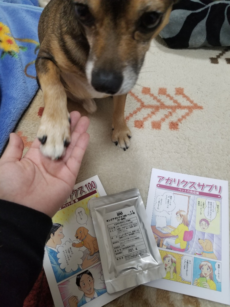 テリアMIXとキングアガリクス100