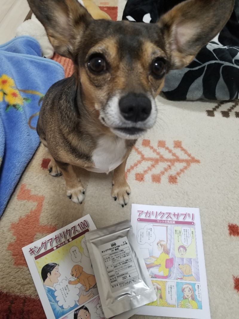 テリアMIXとキングアガリクス100