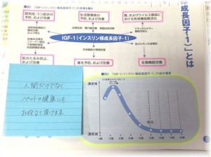 パンフレット
