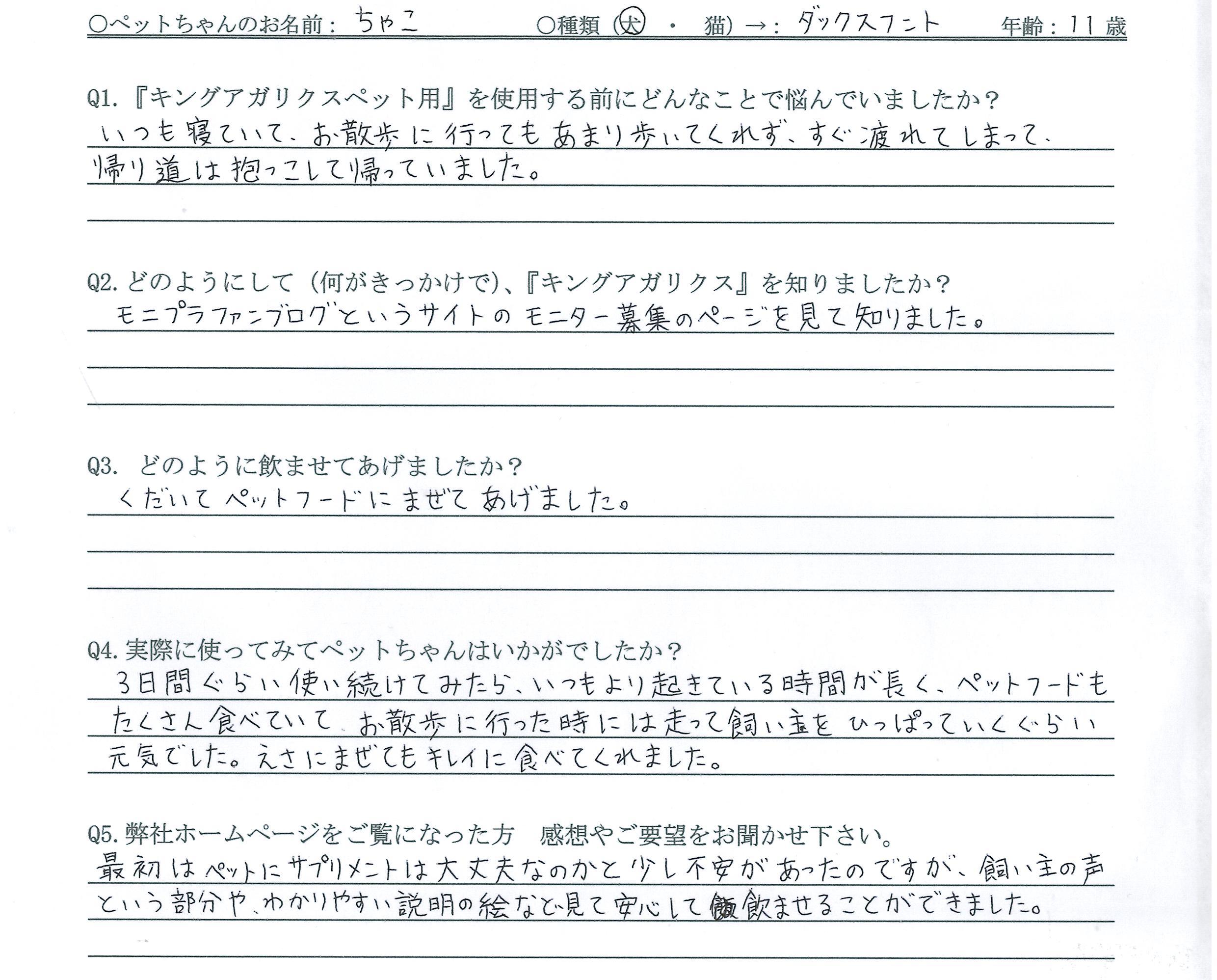アンケート