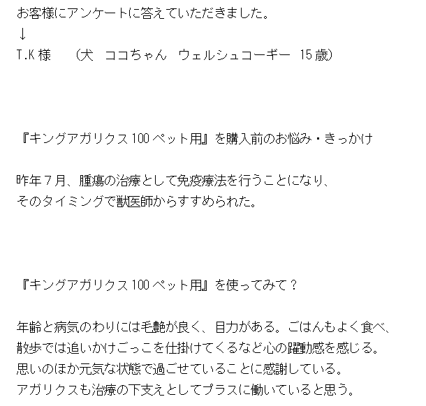 ウェルシュコーギー