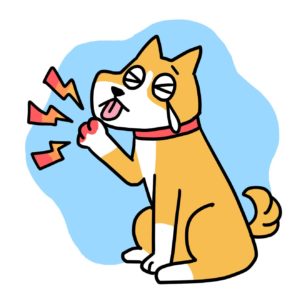 犬　指間炎　イラスト