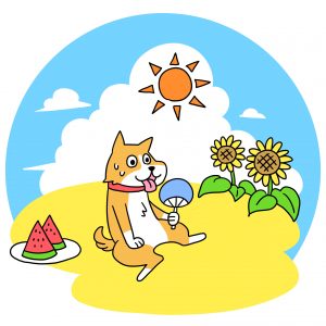 犬の夏