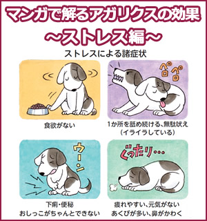 ストレス編