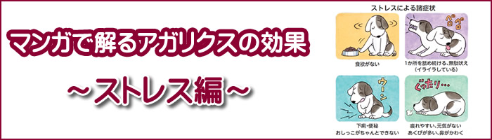 バナー