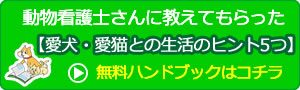 ハンドブック