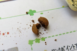 キングアガリクス100
