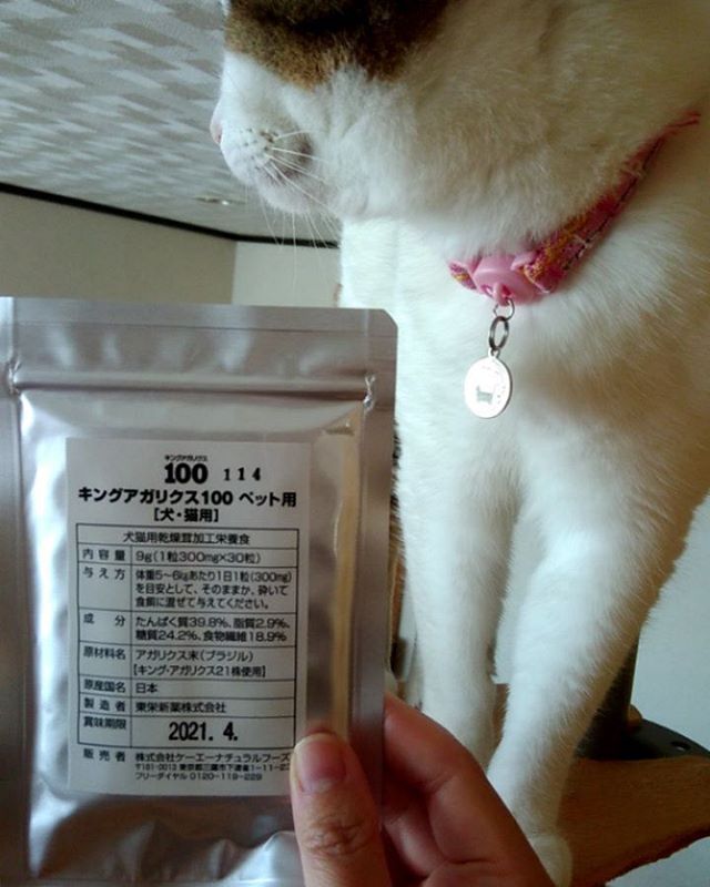 ねことキングアガリクス100