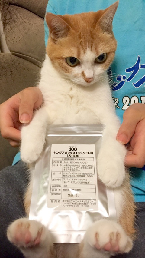 猫の鼻にできた黒い斑点が薄くなりました