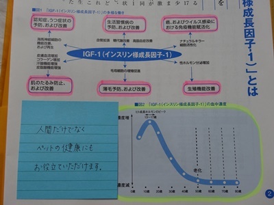 キングアガリクスの効果