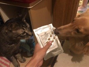キングアガリクス100と犬とねこ