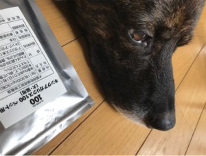 キングアガリクス100ペット用と犬