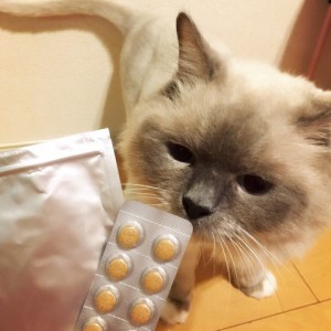 アクアさん
