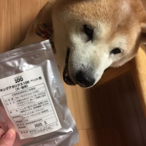 犬とキングアガリクス100