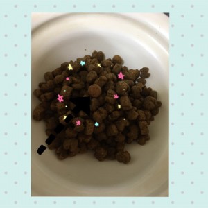 キングアガリクス100のごはん