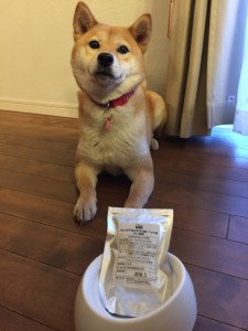 キングアガリクス　犬