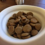 キングアガリクス　犬　ごはん