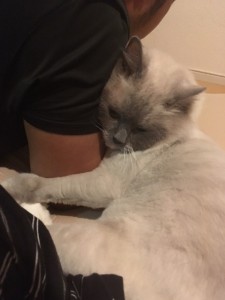 アクアさん