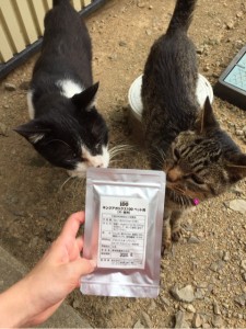ｷﾝｸﾞｱｶﾞﾘｸｽ100とねこ