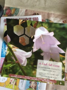 ｷﾝｸﾞｱｶﾞﾘｸｽ100からのﾘｰﾌレット