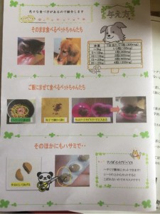 キングアガリクス100飲み方説明