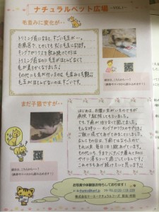 キングアガリクス100お客様の声
