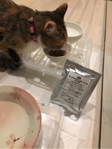 ﾍﾟｯﾄ用ｷﾝｸﾞｱｶﾞﾘｸｽ100を食べる猫