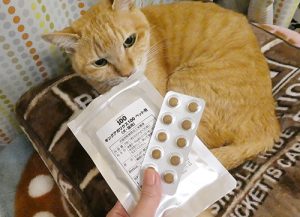 ねことキングアガリクス100