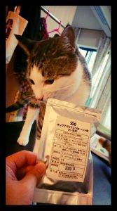 キングアガリクス100とねこ