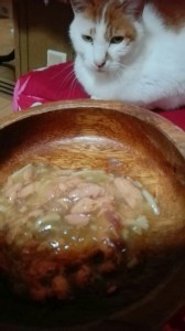 エサとねこ