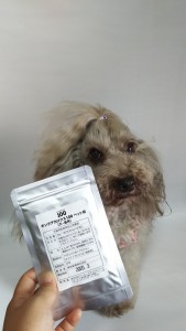 ペット用キングアガリクス１００と犬