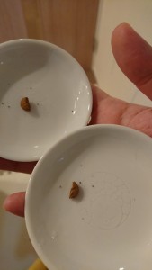 半分に切ったキングアガリクス100ペット用