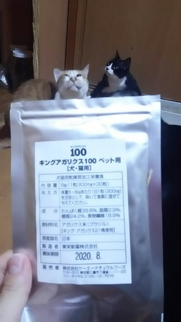 キングアガリクス100