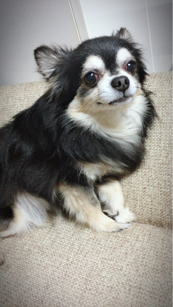 チワックス