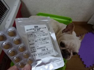 犬とキングアガリクス