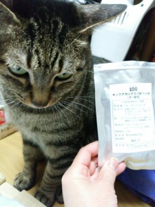猫とアガリクス