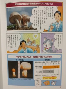説明まんが