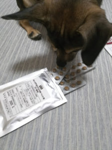 キングアガリクス100ペット用と犬