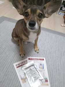 キングアガリクス100と犬