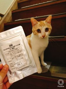 猫　キングアガリクス100
