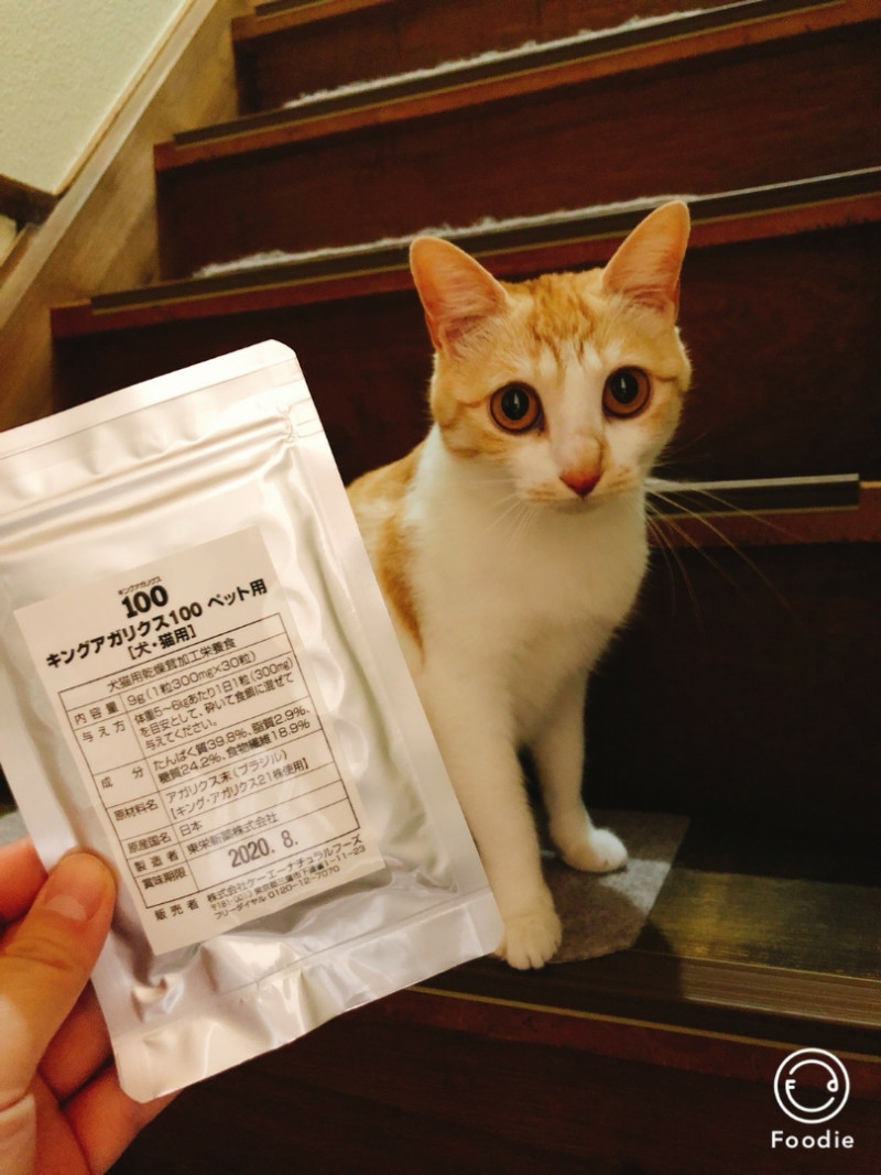 猫　キングアガリクス100