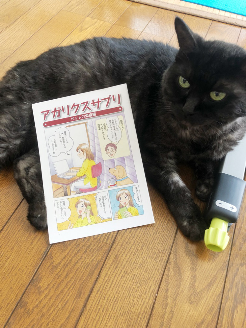 ねことキングアガリクス100まんが