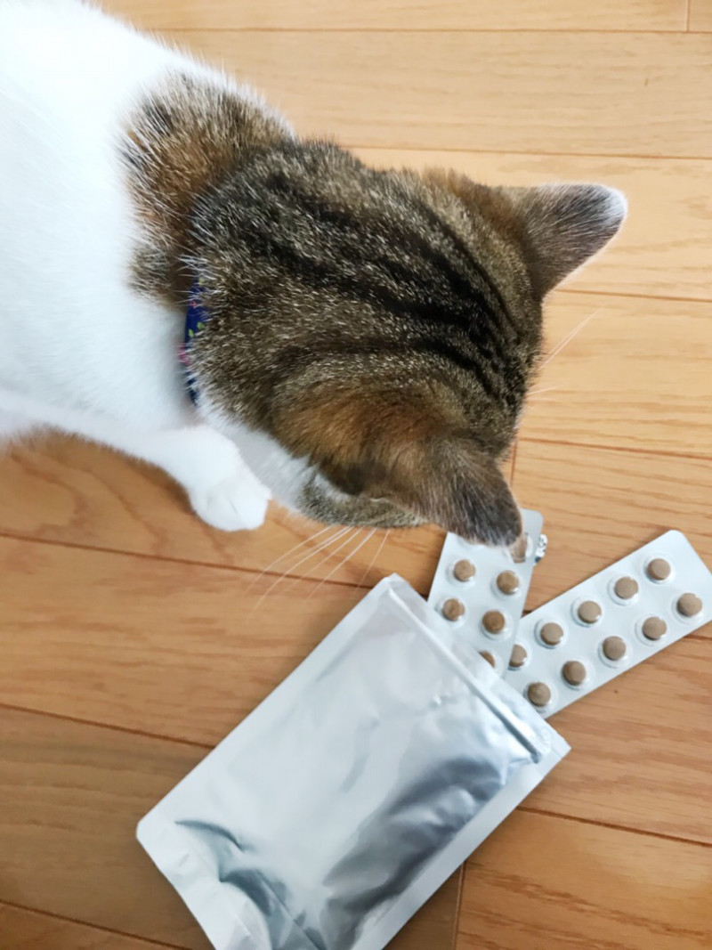 ねことキングアガリクス100