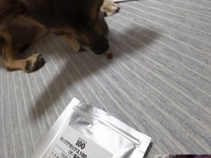キングアガリクス100ペット用と犬