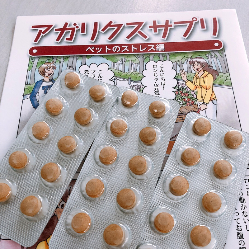 キングアガリクス