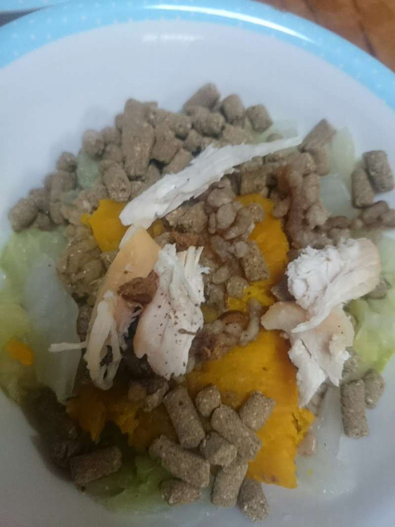 ねこご飯