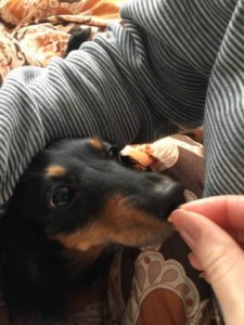 元気になった
